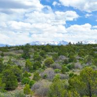 38 Acres Bordering BLM and Near Cornerstone Golf images 3