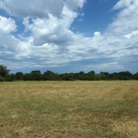 Ranch Land For Sale 231 Acres in Blossom TX NE TX