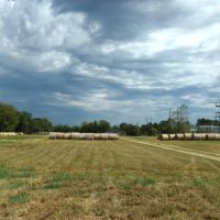 Ranch Land For Sale 231 Acres in Blossom TX NE TX images 3