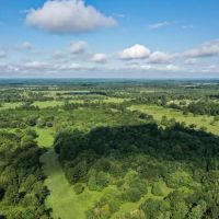 70 Acres FM 1374 Huntsville TX 77340