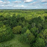 70 Acres FM 1374 Huntsville TX 77340 images 4