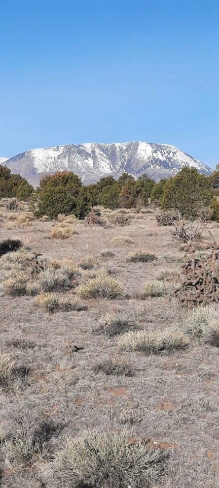 185 Black Hills Walsenburg CO 81089 featured image