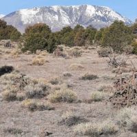 185 Black Hills Walsenburg CO 81089