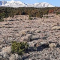 185 Black Hills Walsenburg CO 81089 images 3