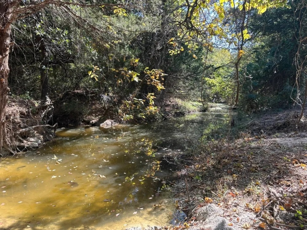 21 - Acres with Ritchie Creek featured image