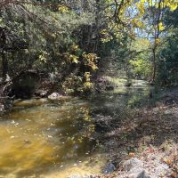 21 - Acres with Ritchie Creek