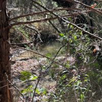 21 - Acres with Ritchie Creek images 2