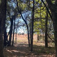 21 - Acres with Ritchie Creek images 3