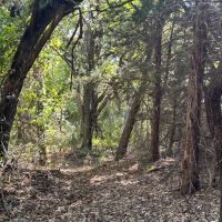 21 - Acres with Ritchie Creek images 4