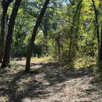 21 - Acres with Ritchie Creek images 5
