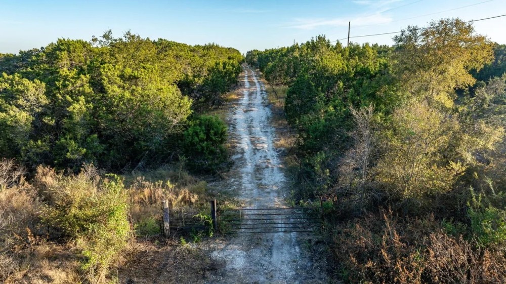 66 Acres Great Hunting Property featured image