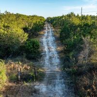 66 Acres Great Hunting Property
