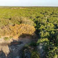 66 Acres Great Hunting Property images 4