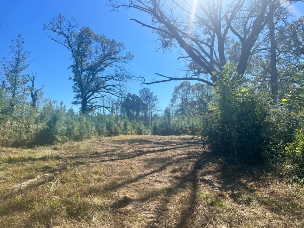 44 Acres in Simpson County MS featured image