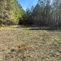 80 Acres in Newton County in Hickory MS images 2