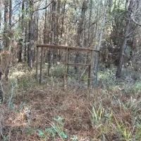 80 Acres in Newton County in Hickory MS images 5