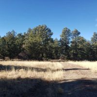 70 Blackhawk Ranch images 2