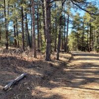 70 Blackhawk Ranch images 3