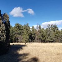 70 Blackhawk Ranch images 4