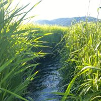 Ashby Creek Ranch images 5