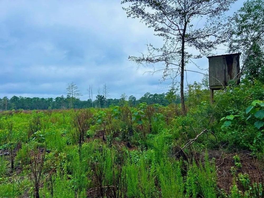 Vancleave MS 33 - Acres for sale featured image