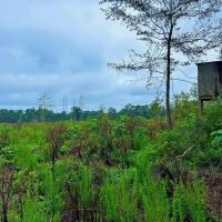Vancleave MS 33 - Acres for sale images 1