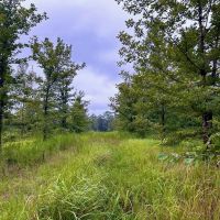 Vancleave MS 33 - Acres for sale images 2