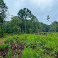 Vancleave MS 33 - Acres for sale images 3