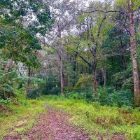 Vancleave MS 33 - Acres for sale images 5