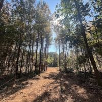 18.97 acres of Multi-Use Residential and Recreational Land For Sale in Duplin County NC images 2