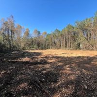 18.97 acres of Multi-Use Residential and Recreational Land For Sale in Duplin County NC images 3