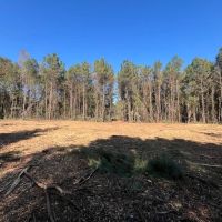18.97 acres of Multi-Use Residential and Recreational Land For Sale in Duplin County NC images 4