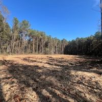 18.97 acres of Multi-Use Residential and Recreational Land For Sale in Duplin County NC images 5