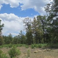173 Blackhawk Ranch images 2