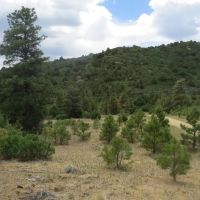 173 Blackhawk Ranch images 3