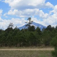 173 Blackhawk Ranch images 4