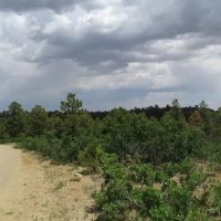 173 Blackhawk Ranch images 5