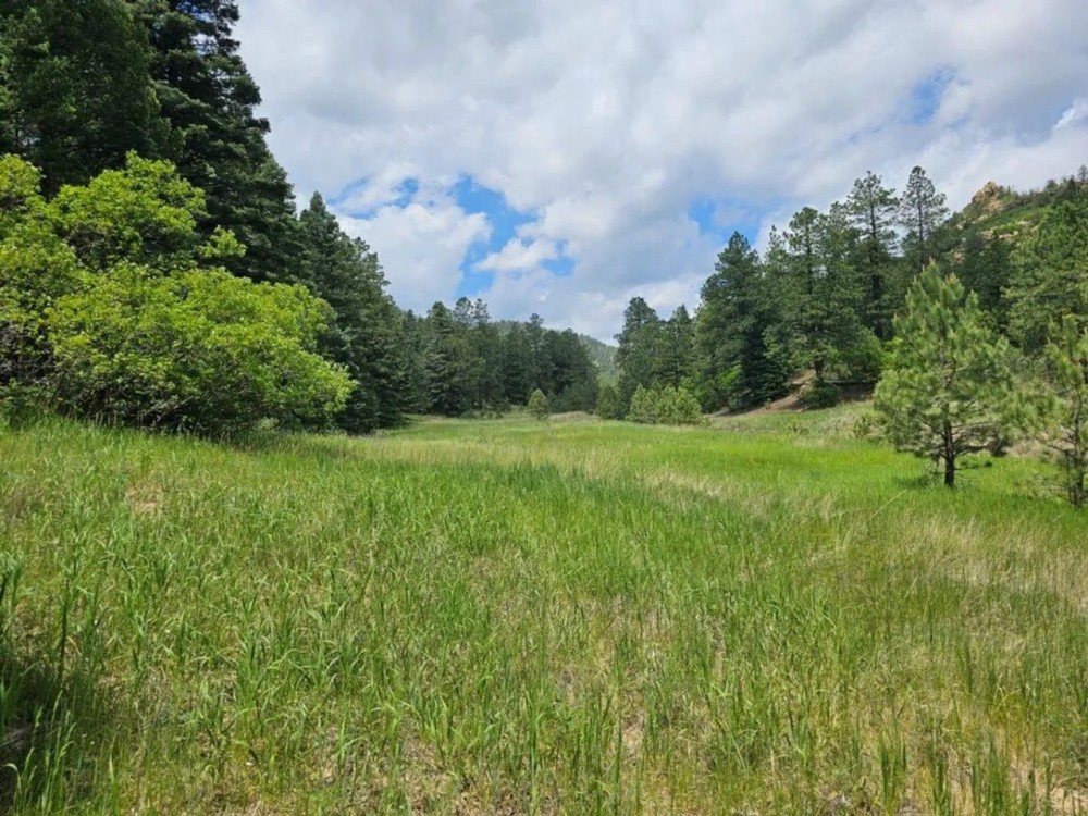 17 Pine Valley Filing featured image