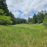 17 Pine Valley Filing