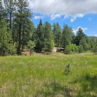 17 Pine Valley Filing images 2