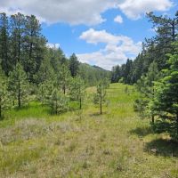 17 Pine Valley Filing images 3