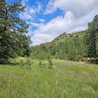 17 Pine Valley Filing images 4