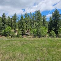17 Pine Valley Filing images 5