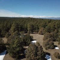 4 Delagua Canyon images 4