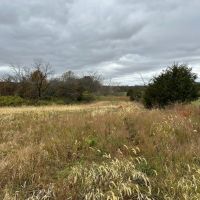 8 acres m l - Bentonsport IA - Van Buren County images 3