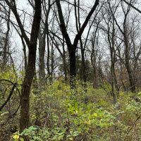 8 acres m l - Bentonsport IA - Van Buren County images 5