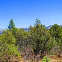 D3 Santa Fe Trail Ranch images 2