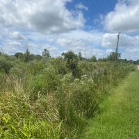 LA - West Carroll 68 acres - images 2