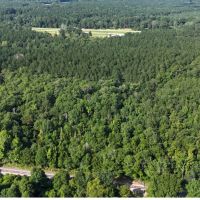 68 Acres in Covington County in Mt. Olive MS