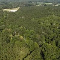68 Acres in Covington County in Mt. Olive MS images 3